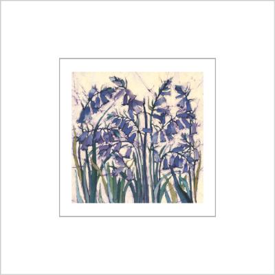 No.529 Bluebells - signed Small Print.